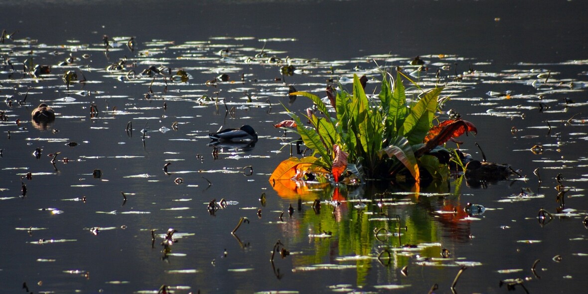 Horvai Valér fotója