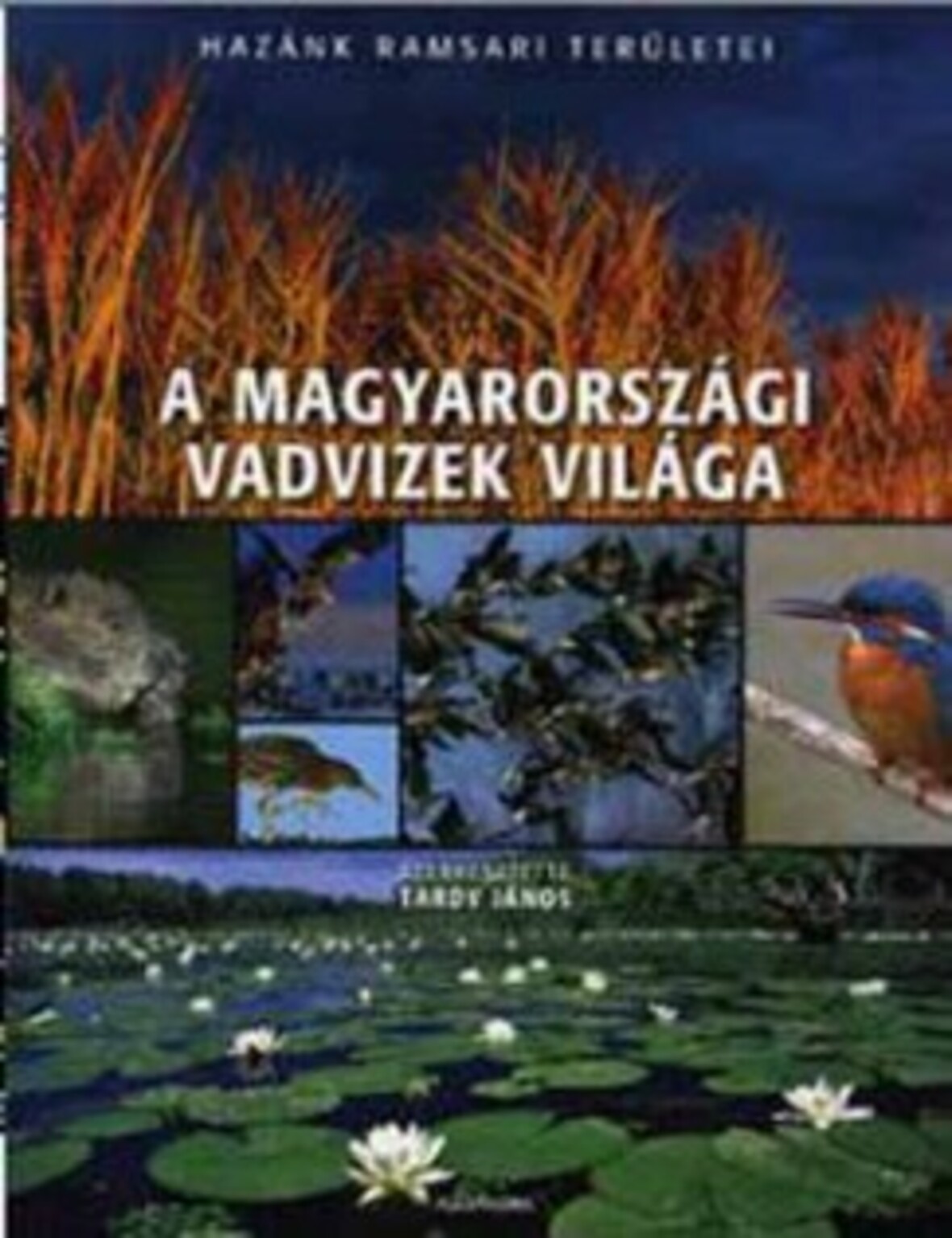 A magyarországi vadvizek világa